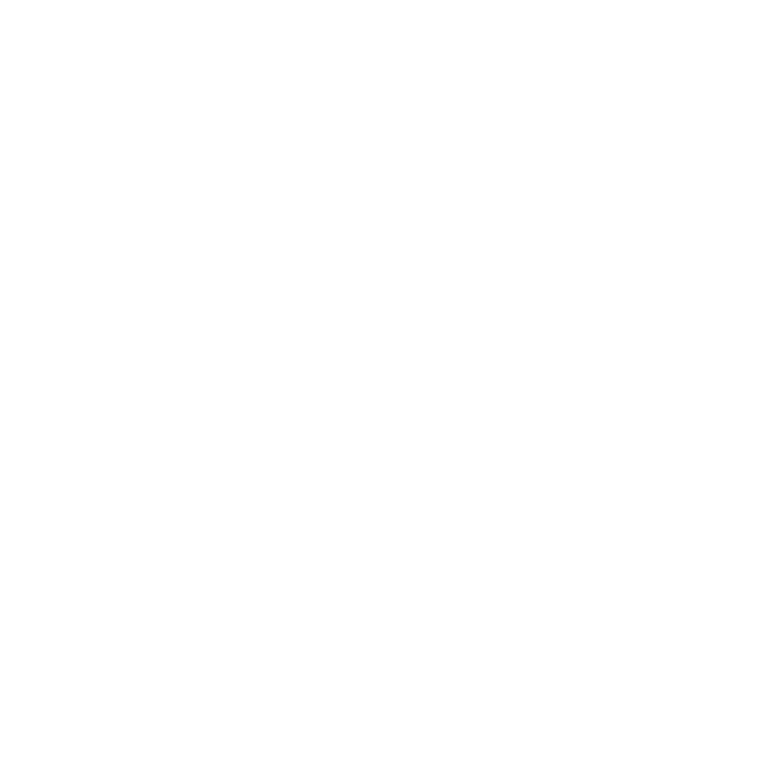 TAMU Logo